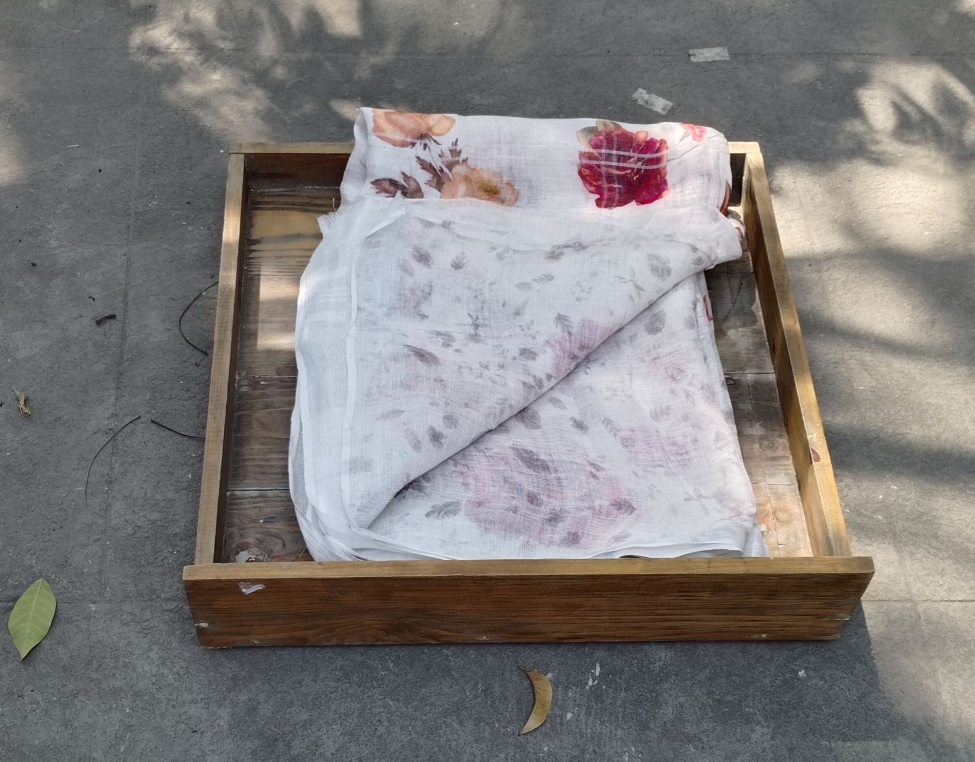 Lenin Digital Print Saree