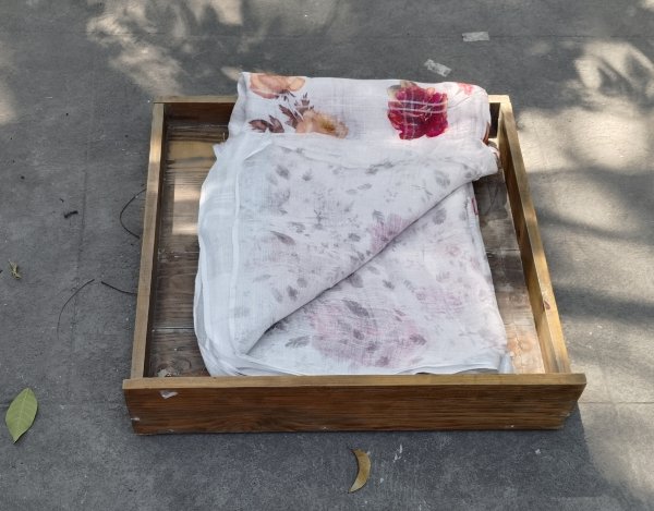 Lenin Digital Print Saree