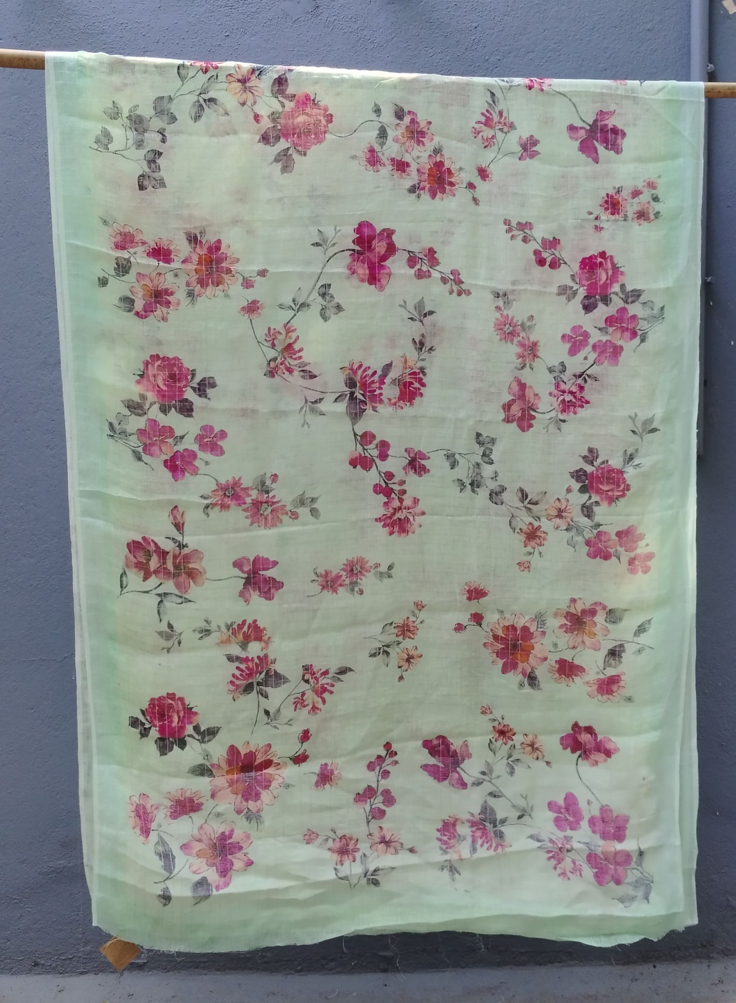 Lenin Digital Print Saree