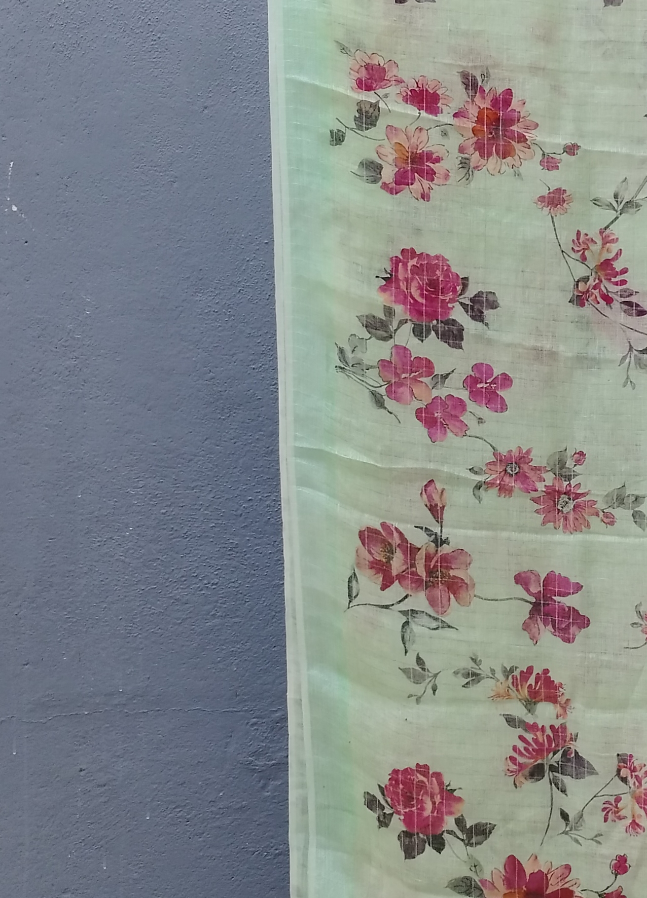 Lenin Digital Print Saree