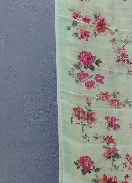 Lenin Digital Print Saree