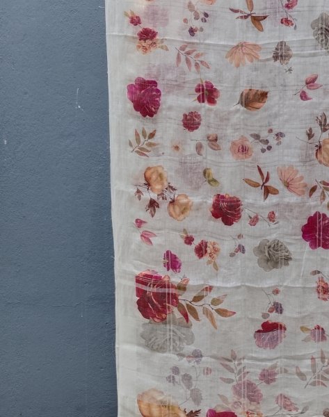 Lenin Digital Print Saree