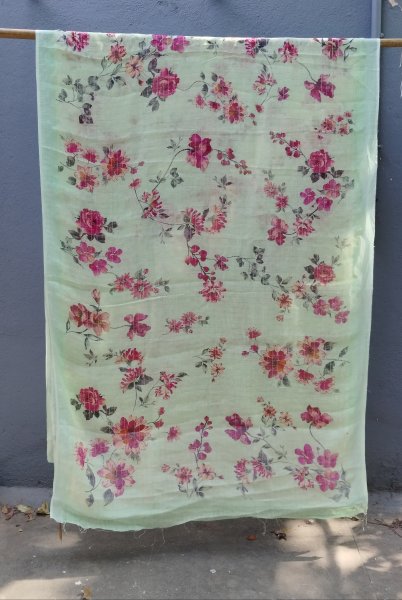 Lenin Digital Print Saree