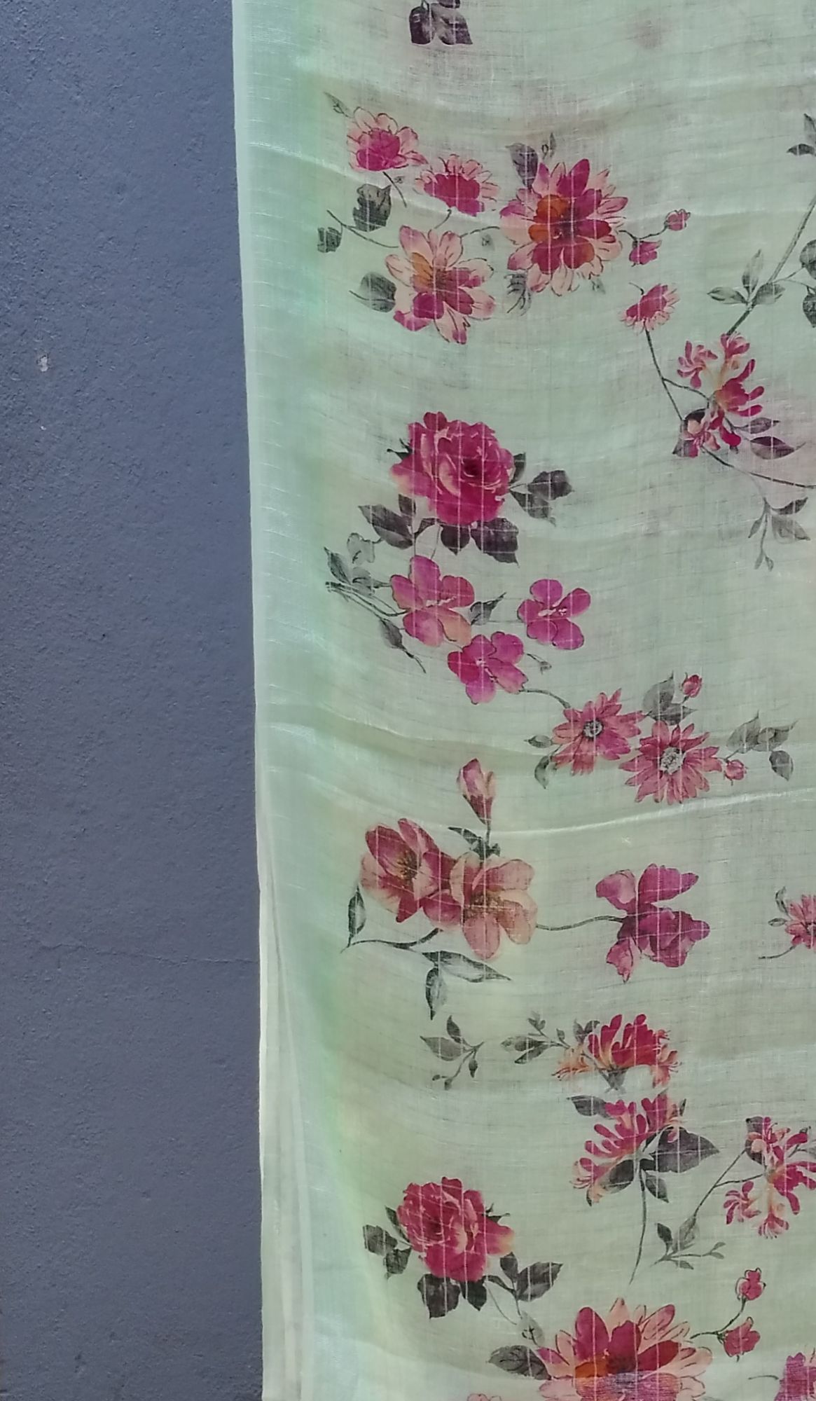 Lenin Digital Print Saree