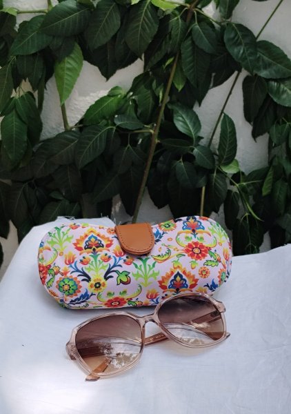 Spectacle pouch/holder