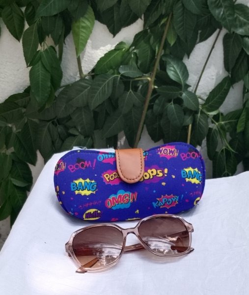 Spectacle pouch/holder