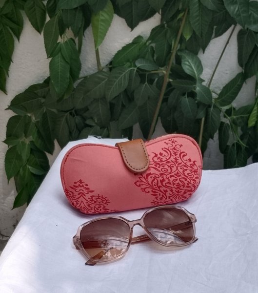 Spectacle pouch/holder