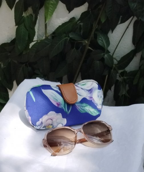 Spectacle pouch/holder