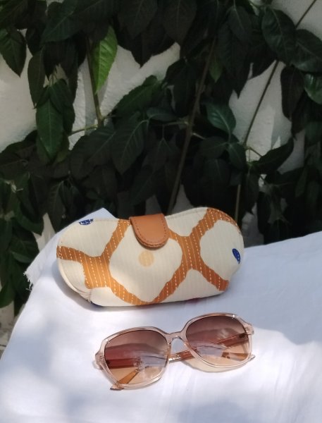 Spectacle pouch/holder