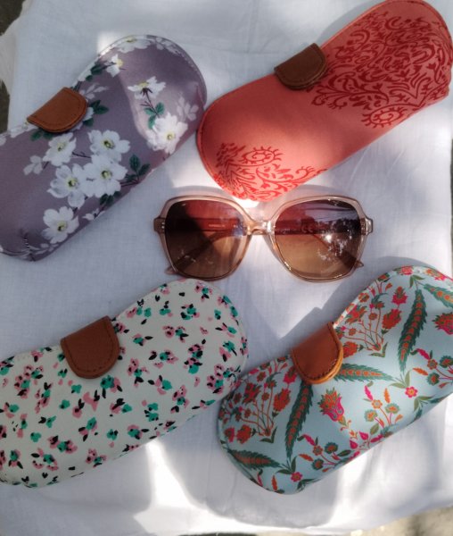 Spectacle pouch/holder