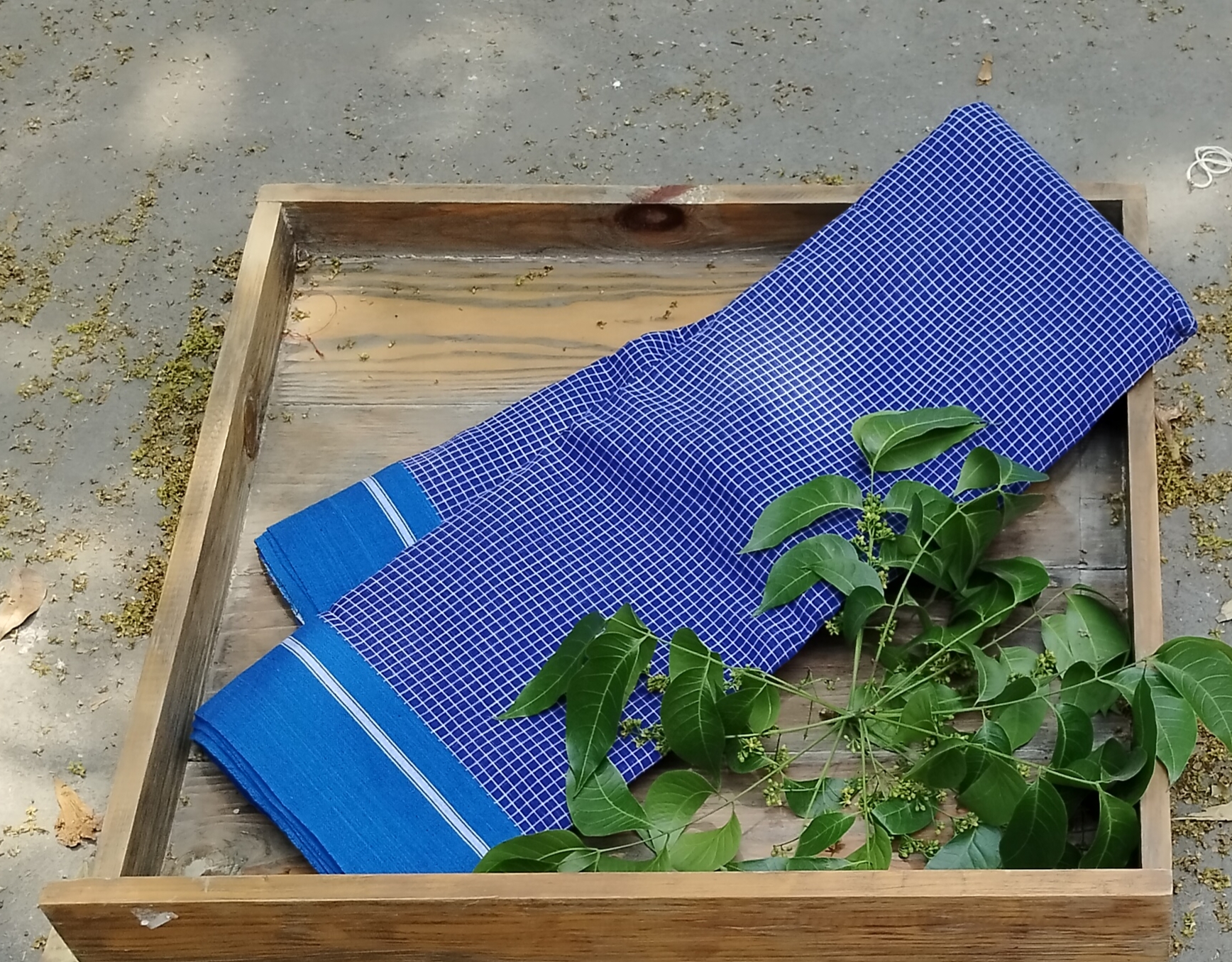 Patteda Anchu Cotton Saree