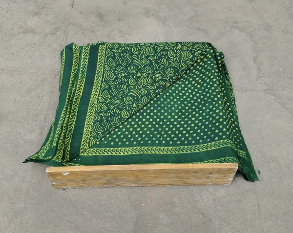 Akola Handblock Cotton Saree