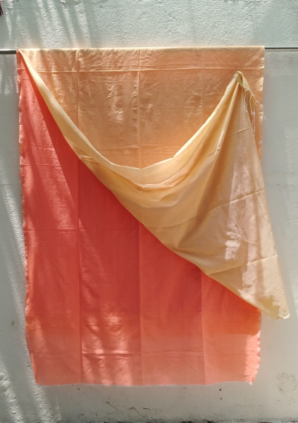 Plain Mul Cotton Saree