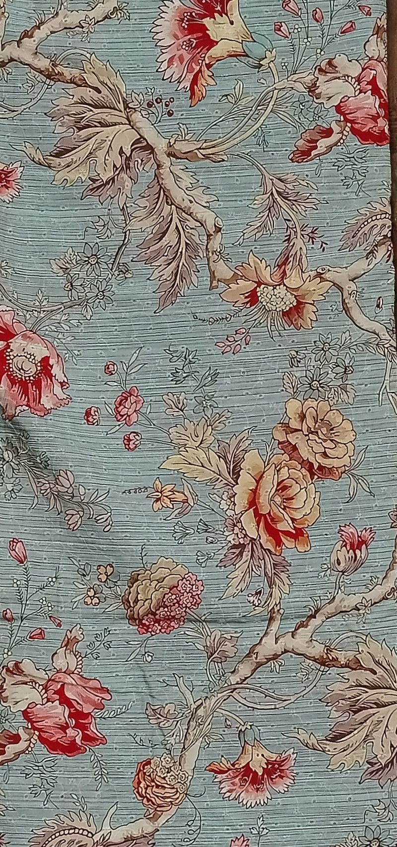 Muslin Silk Hakoba fabric