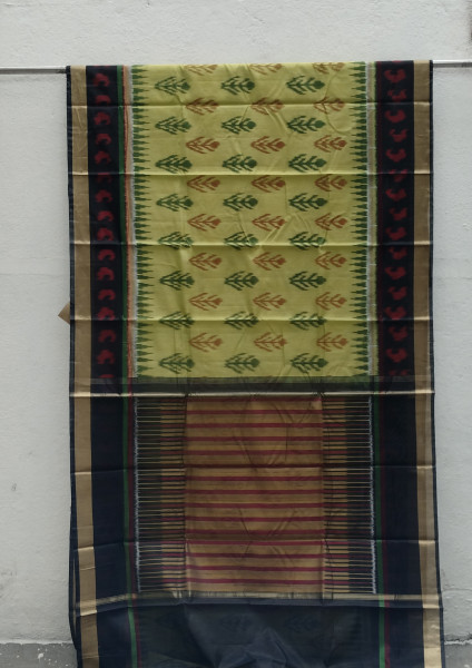 Silk Cotton Pochampalli  Saree