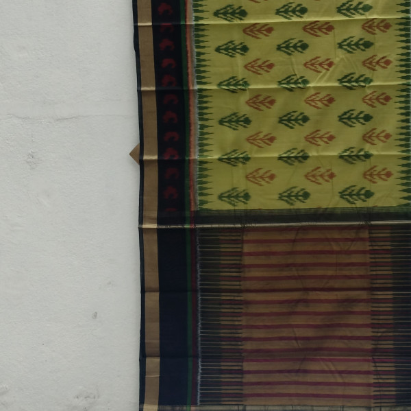 Silk Cotton Pochampalli  Saree