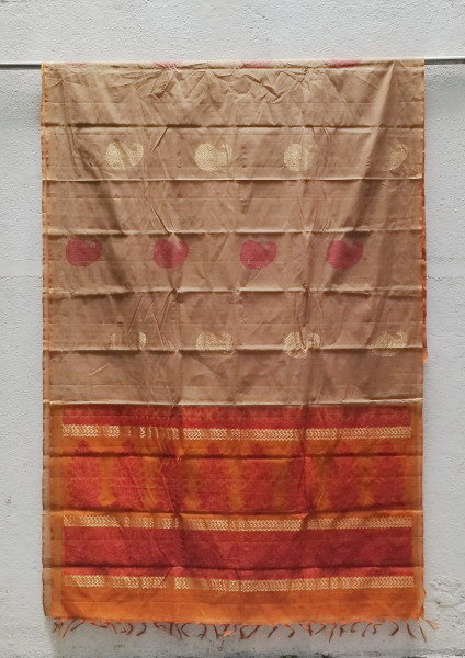 Handloom Cotton Saree