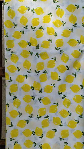 Hand block Print Fabric