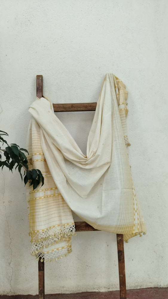 Image of Handwoven Bhujodi Dupatta