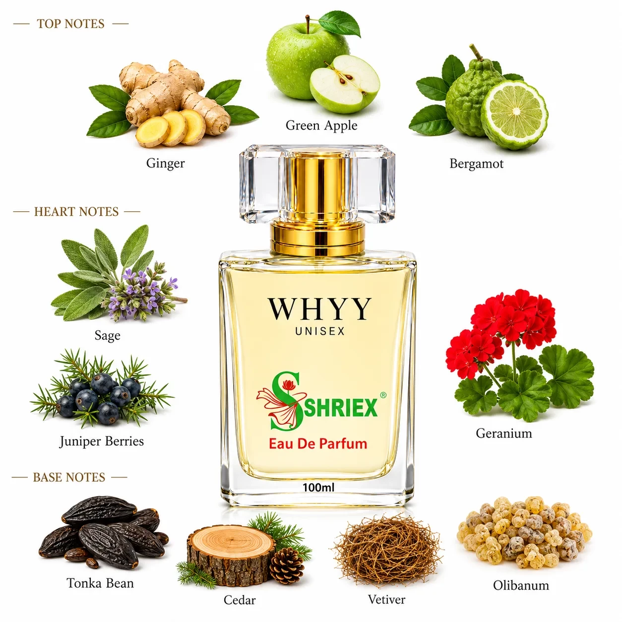 WHYY by shriex unisex long lasting luxury perfume notes