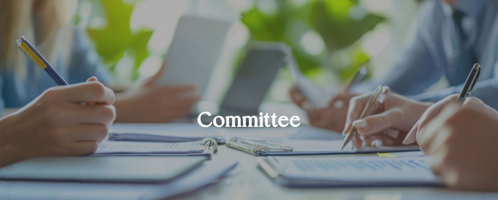 Commiitteee Image COMMITTEE