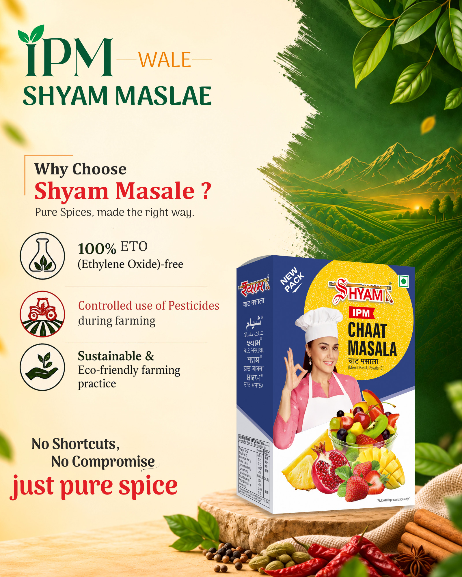 Shyam IPM Chaat Masala