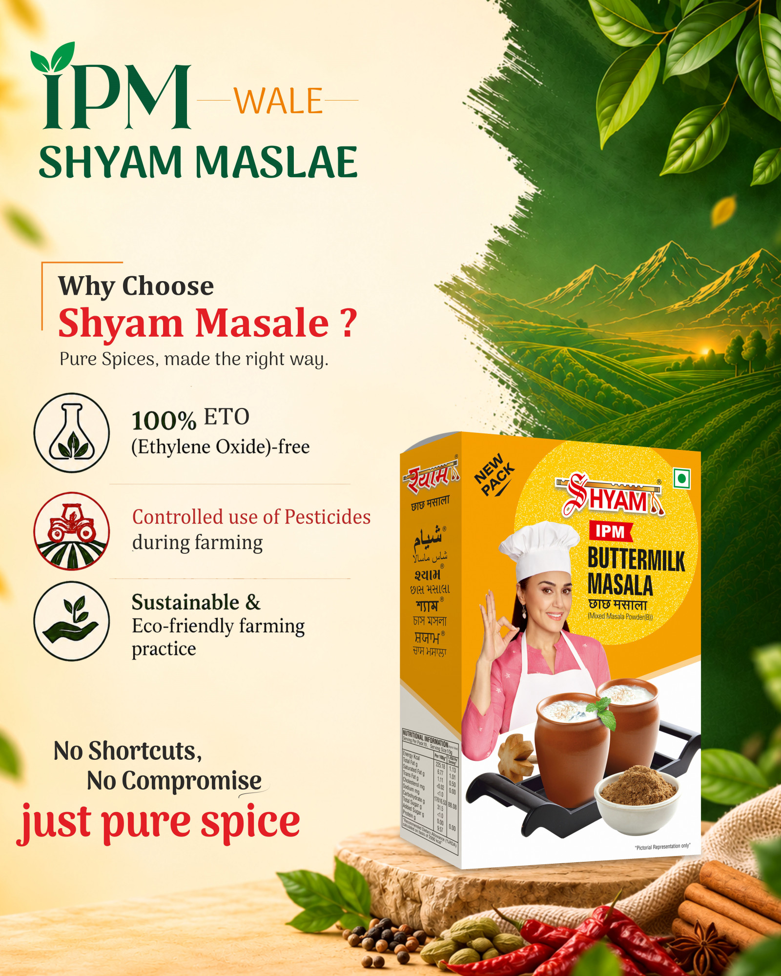 Shyam IPM Buttermilk Masala