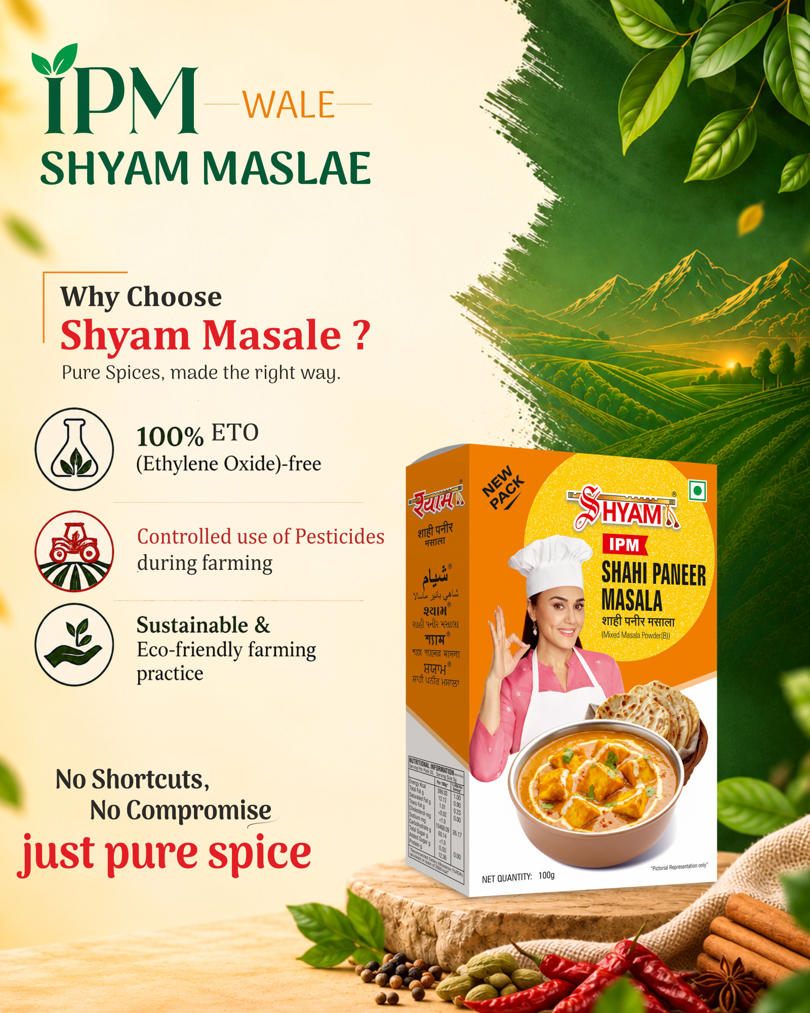 Shyam IPM Shahi Paneer masala