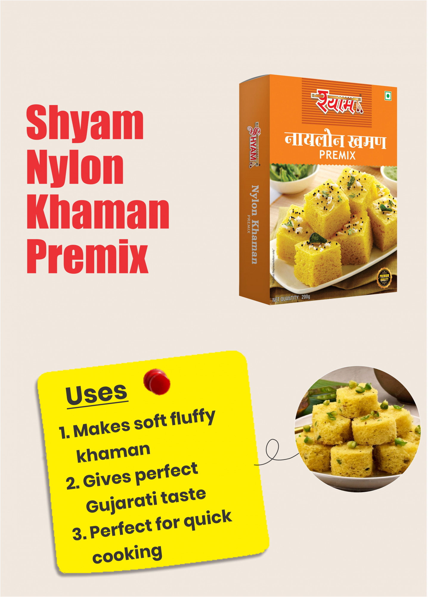 Shyam Nylon Khaman Mix
