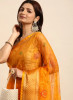 Organza Silk Resham Work Embroidery Saree