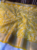 Organza Shimmer Chikankari Embroidery Saree