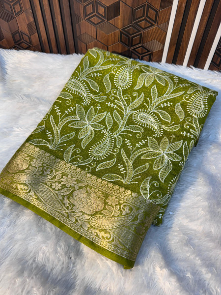 Organza Shimmer Chikankari Embroidery Saree
