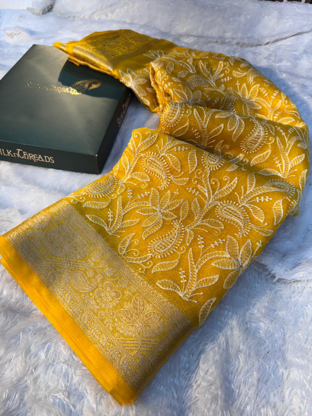 Organza Shimmer Chikankari Embroidery Saree