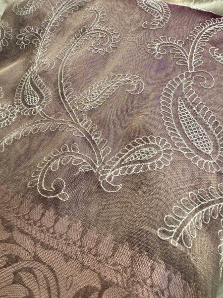 Banarasi Tissue Chikankari Embroidery Saree With Designer Sequence Lace