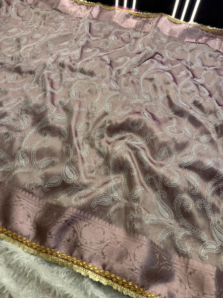 Banarasi Tissue Chikankari Embroidery Saree With Designer Sequence Lace