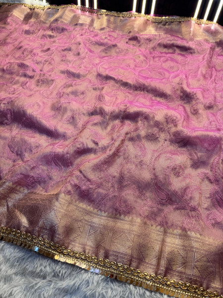 Banarasi Tissue Chikankari Embroidery Saree With Designer Sequence Lace