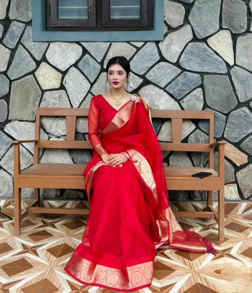 Organza Silk Party Wear Saree With Zari Border and Tassels