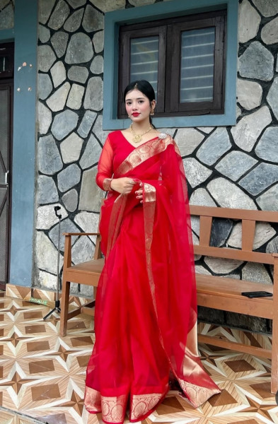 Organza Silk Party Wear Saree With Zari Border and Tassels
