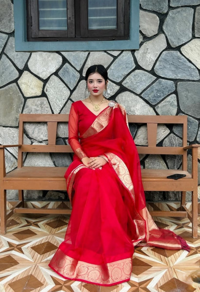 Organza Silk Party Wear Saree With Zari Border and Tassels