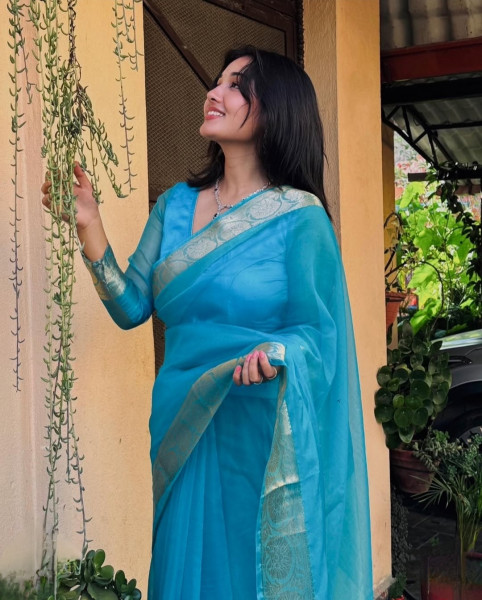Organza Silk Party Wear Saree With Zari Border and Tassels