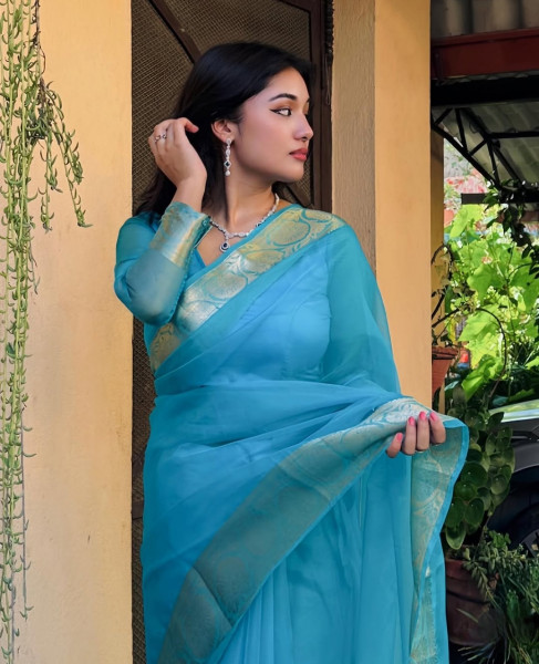 Organza Silk Party Wear Saree With Zari Border and Tassels