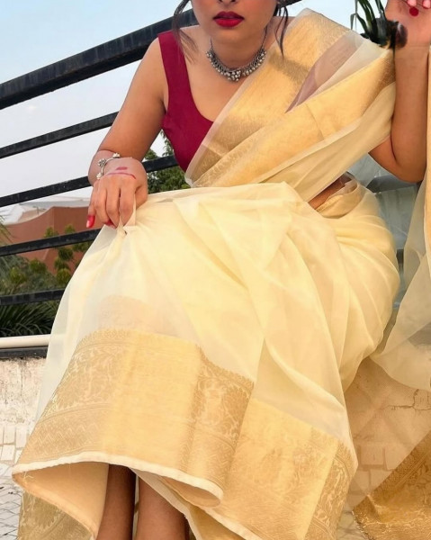 Organza Silk Party Wear Saree With Zari Border and Tassels