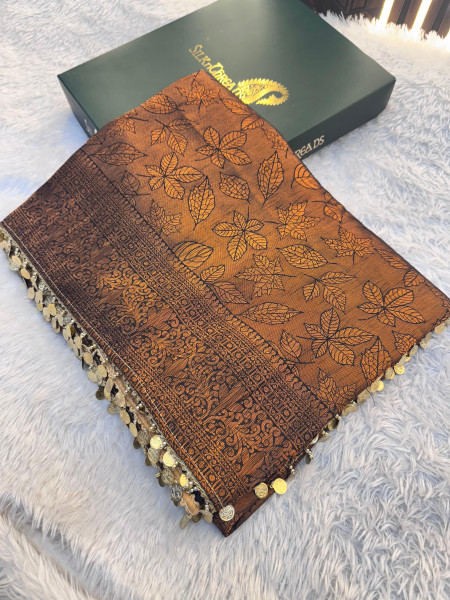 Banarasi Soft Silk Saree with Copper Zari Ethnic Motiffs