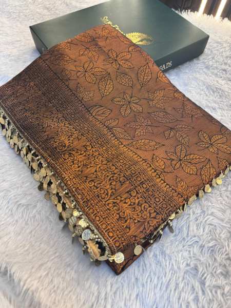 Banarasi Soft Silk Saree with Copper Zari Ethnic Motiffs