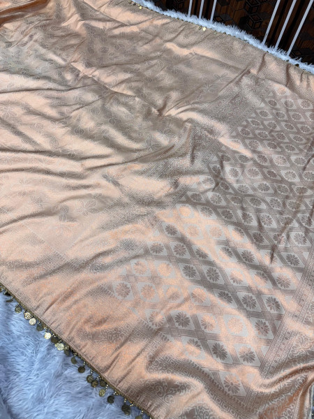 Banarasi Soft Silk Saree with Copper Zari Ethnic Motiffs