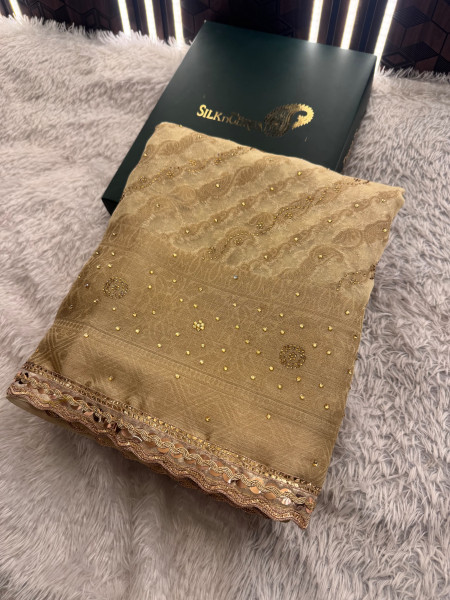 Organza Silk Swarovski Crystal Work Saree With Designer Lace