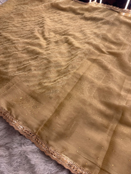 Organza Silk Swarovski Crystal Work Saree With Designer Lace