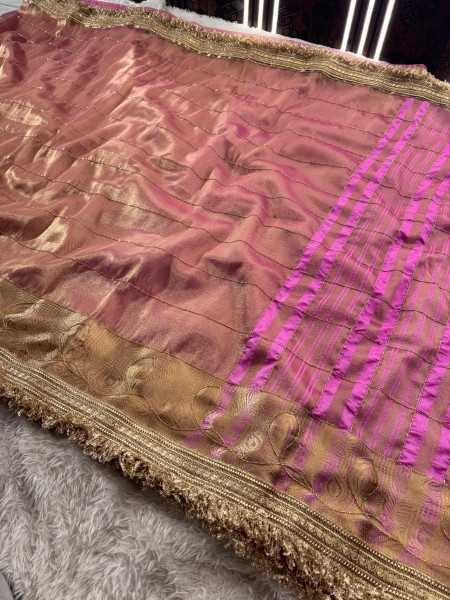 Never Seen Before Tissue Zardozi Handwork Saree
