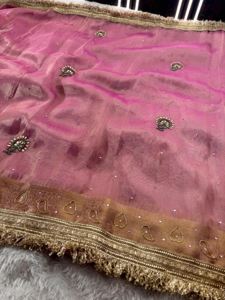 Never Seen Before Tissue Zardozi Handwork Saree