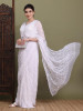 Never Seen Before Chiffon Chikankari Saree